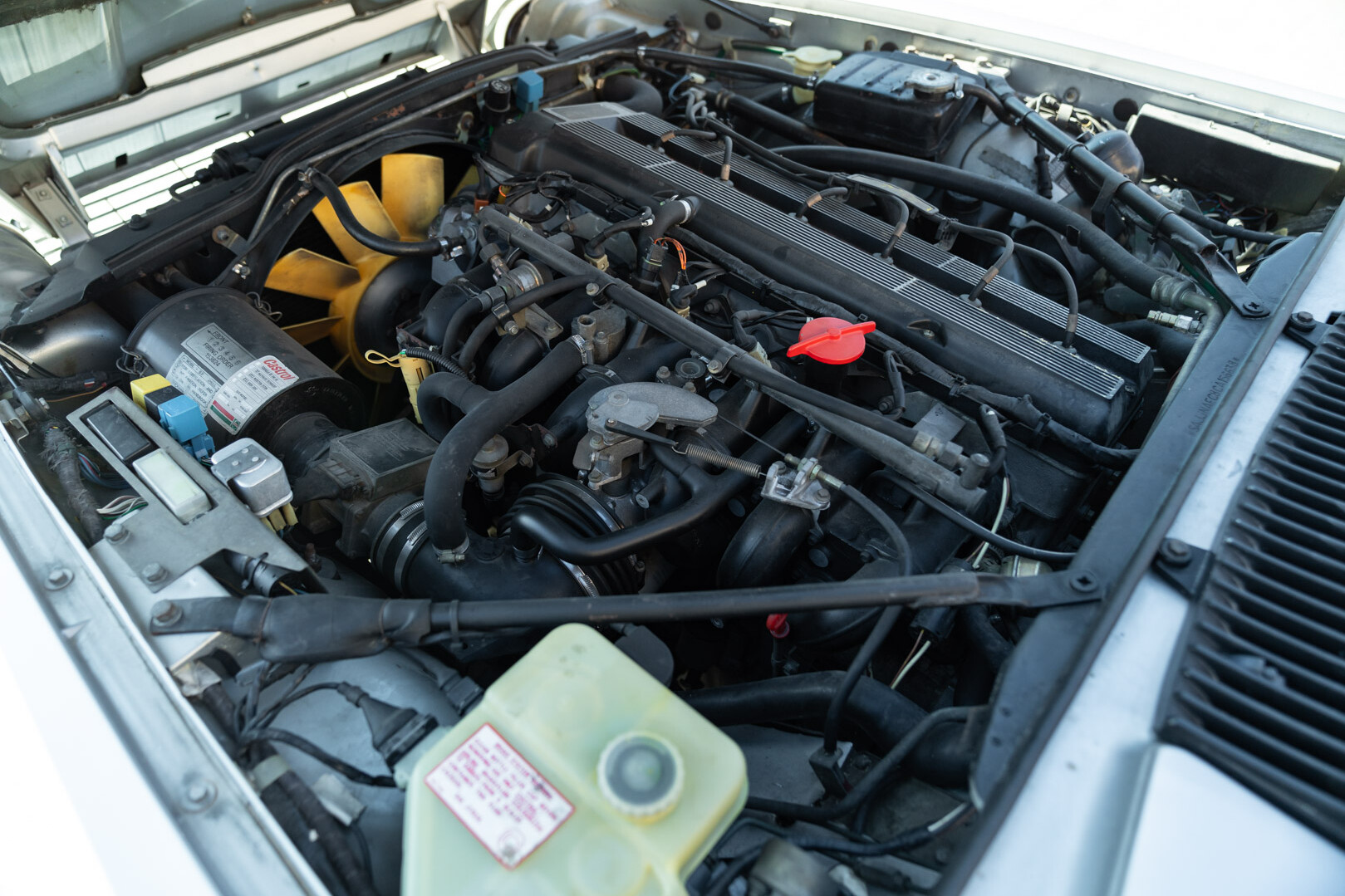 Jaguar XJS 3.6 