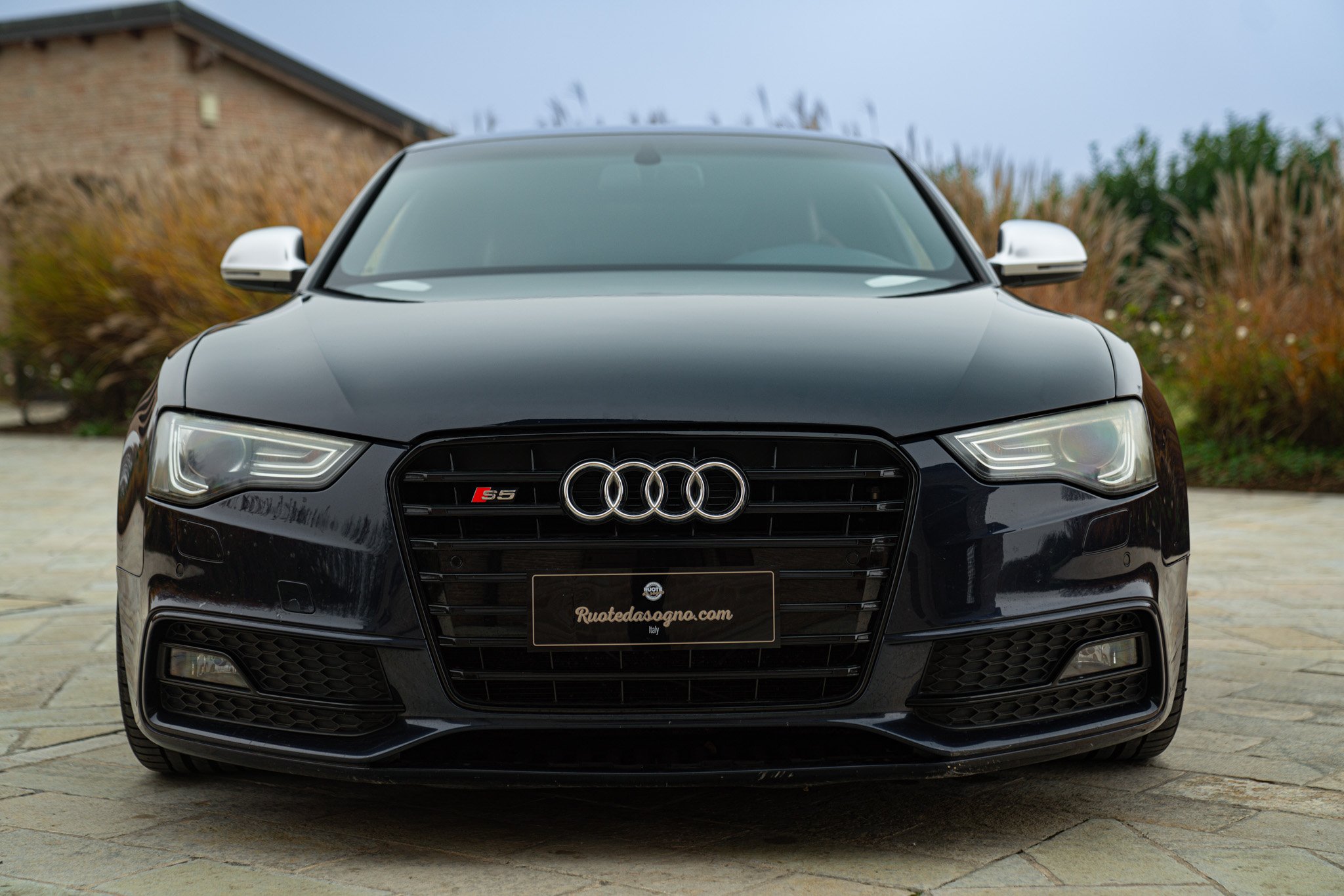 Audi S5 MANUALE 