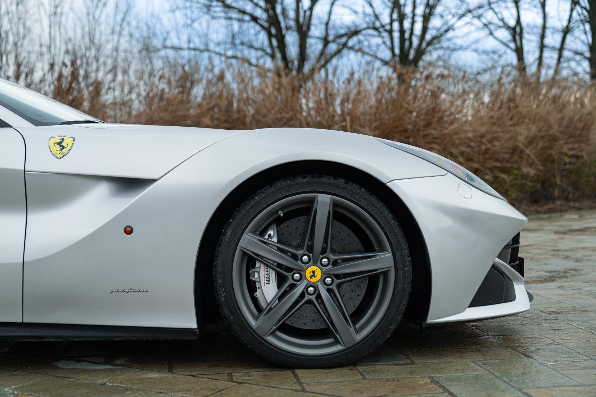 Ferrari F12 BERLINETTA 
