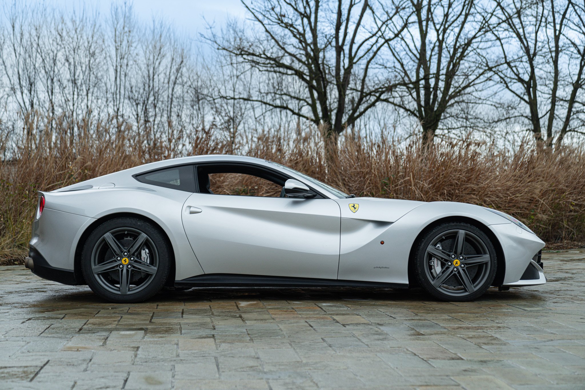 Ferrari F12 BERLINETTA 