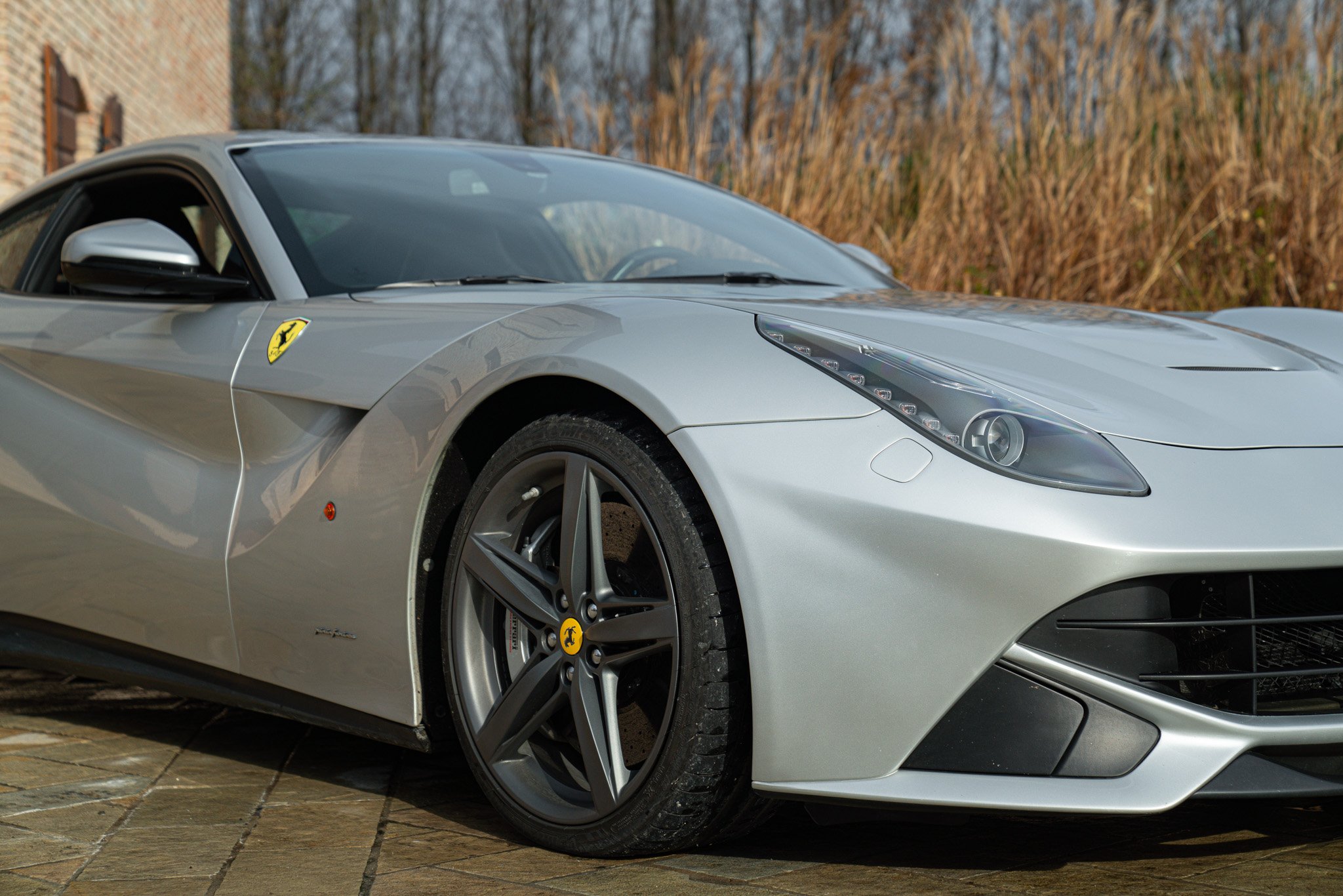 Ferrari F12 BERLINETTA 
