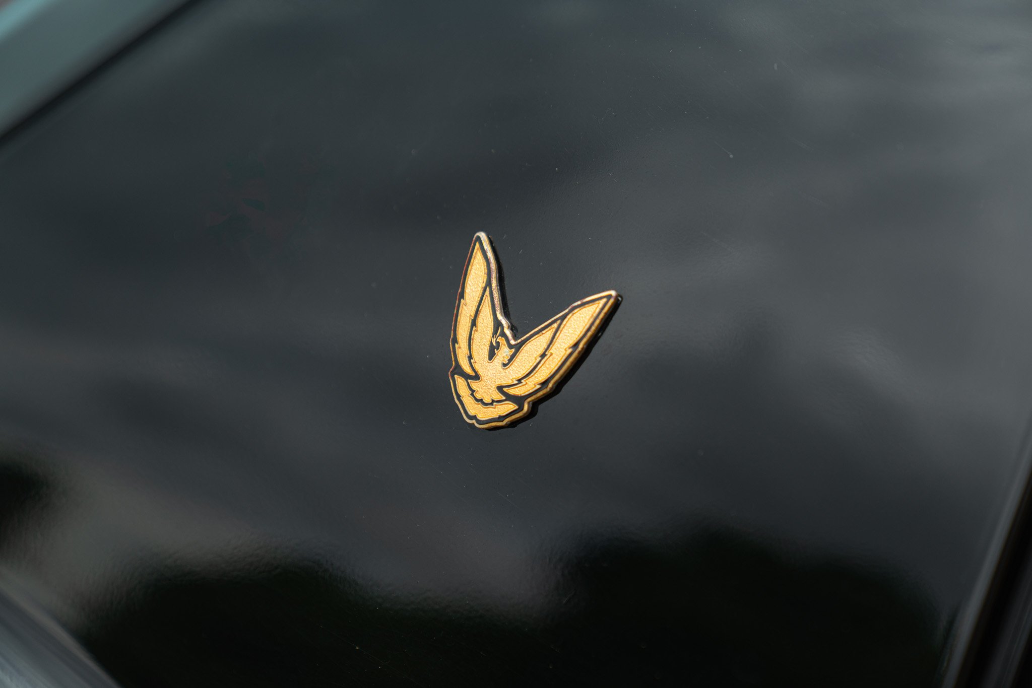 Pontiac FIREBIRD TRANS-AM 