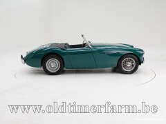 Austin Healey 100/4 BN1 \'54 