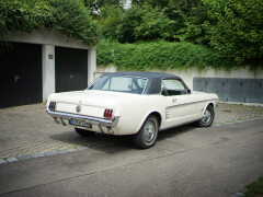 Ford Mustang T 66, 289