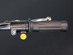 Piaggio CIAO PX CATALYZED 