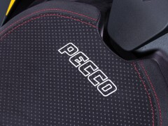 Ducati PANIGALE V4 BAGNAIA WORLD CHAMPION REPLICA 