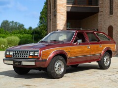 AMC EAGLE 